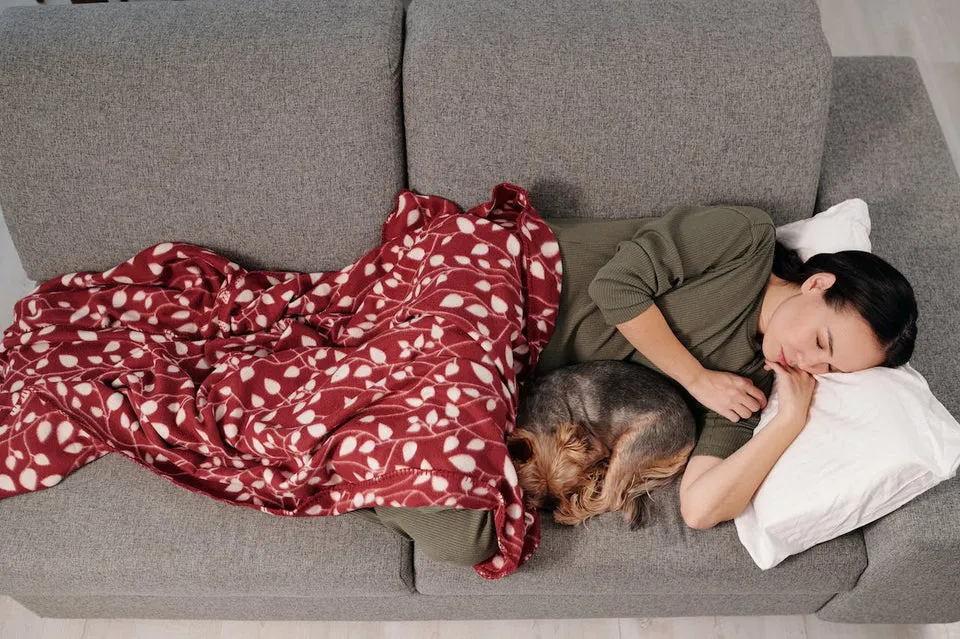 A dog curled up tightly against its sleeping owner, looking safe and relaxed.
