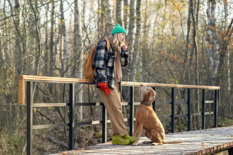 A dog leaning against its owner outdoors in a park.
