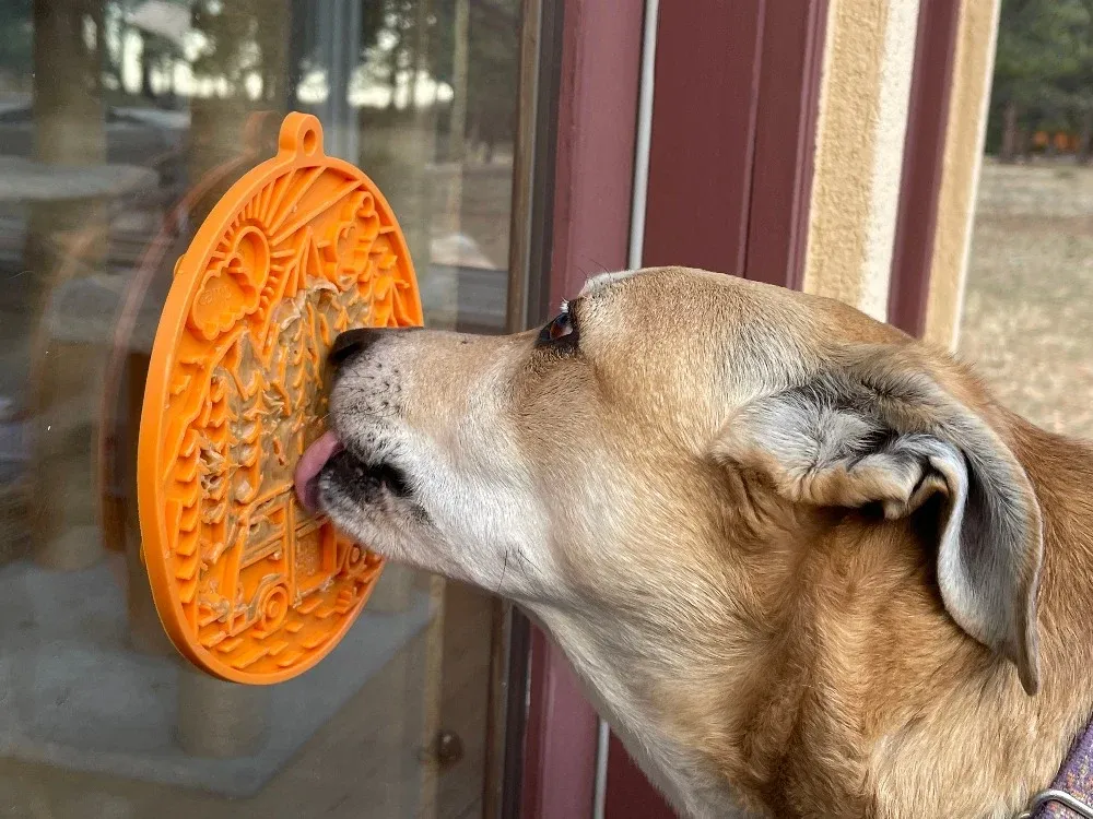 A dog licking an orange lick mat stuck to a window.