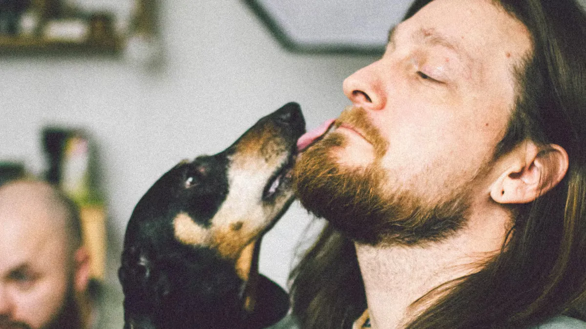 A small black dog licking the face of a bearded man with his eyes closed.