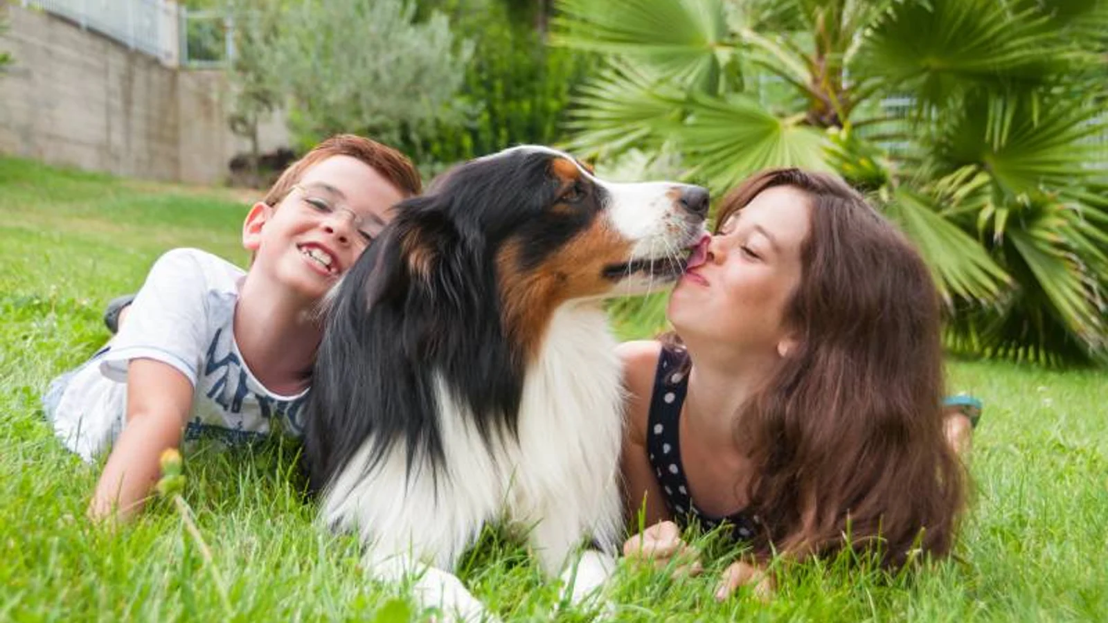 Why Does My Dog Lick Me So Much? What It Really Means