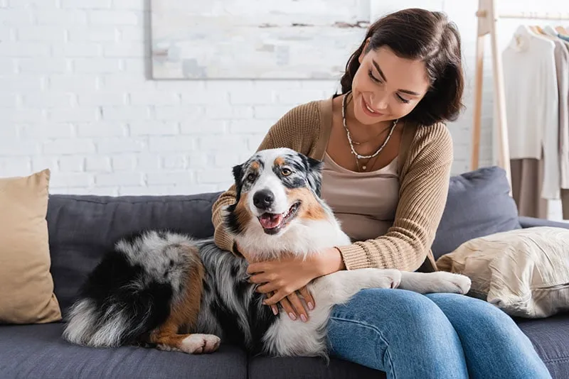 A smiling woman cuddling her Australian shepherd on the sofa.